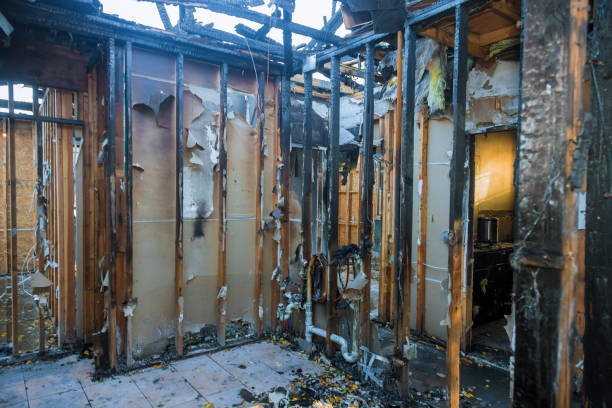 Professional Structural Rebuild technician working in Mars Hill, NC